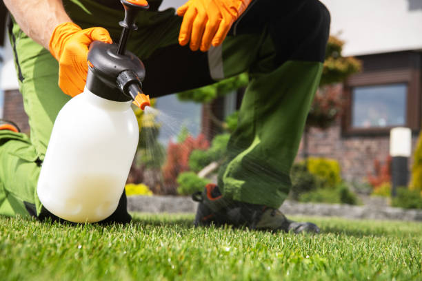 Best Wasp Removal Services  in Tri City, OR