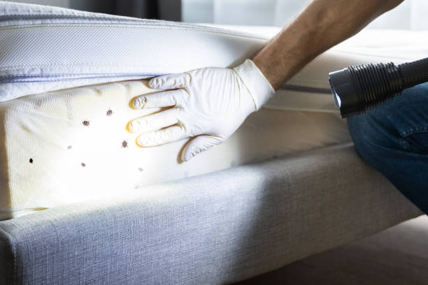 Best Best Pest Control Near Me  in Tri City, OR